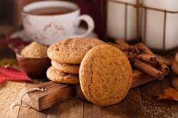 Keto Snickerdoodles Cookies Recipe
