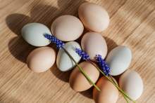 How many eggs per day can someone eat on Keto diet?